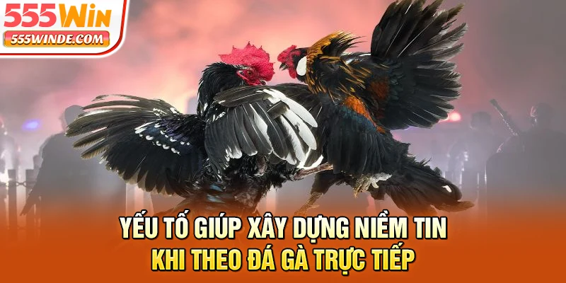 Yếu tố giúp xây dựng niềm tin khi theo đá gà trực tiếp